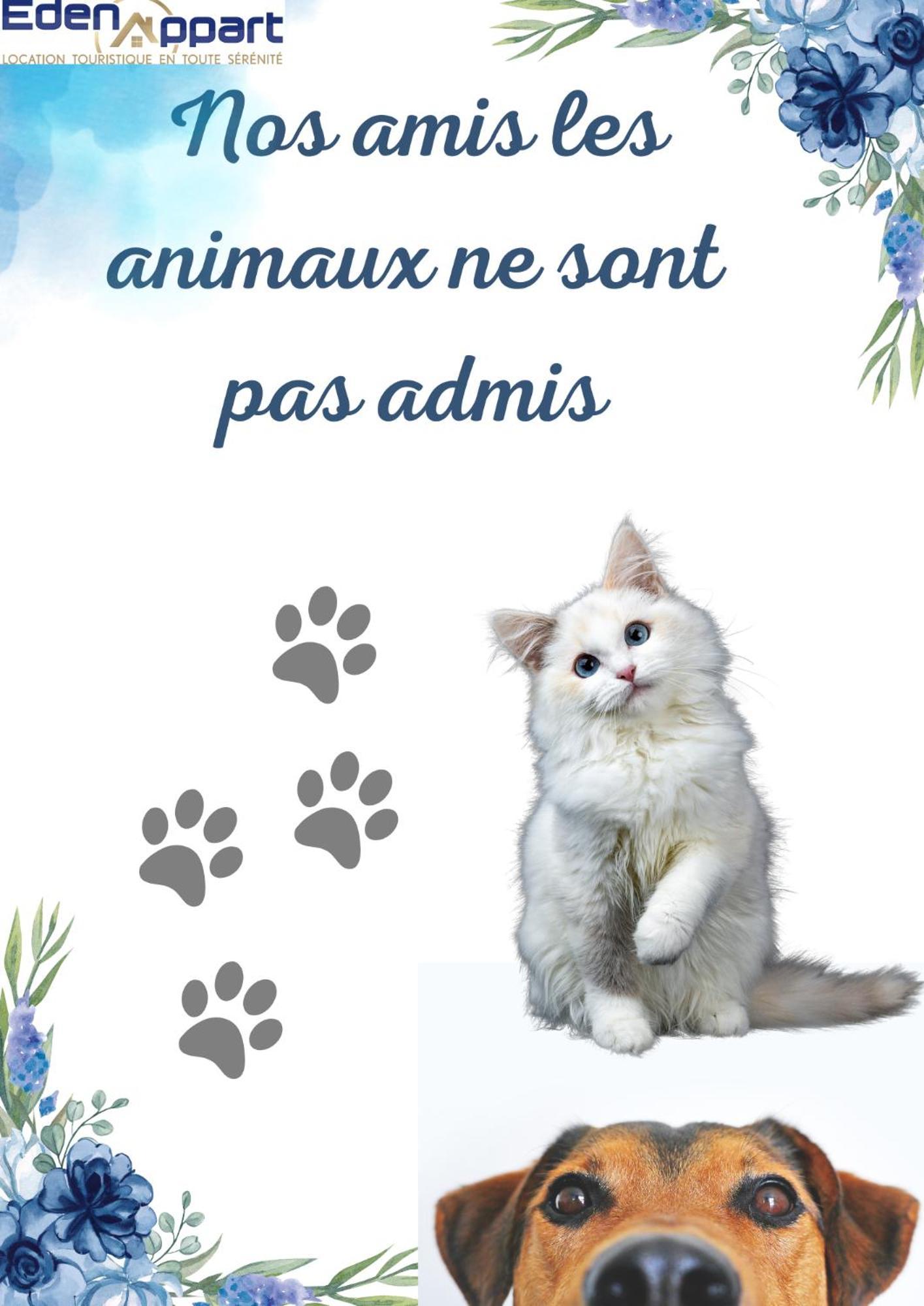 마르세유 Chez Antho Studio -Studio Cosy Au Coeur Du Panier Vieux Port 아파트 외부 사진